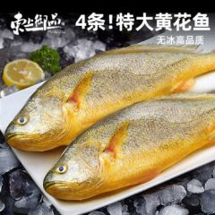 特大黄花鱼 黄鱼超大新鲜活鱼冷冻海鲜水产大黄鱼生鲜鱼类4条整条