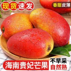 海南贵妃芒果当季新鲜水果孕妇热带红金龙芒果彩虹 青 芒树上现摘 A+果5斤 品质好吃爆汁