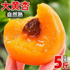 陕西大黄杏新鲜水果杏子酸甜孕妇3/5斤当季 品质精选 超值体验
