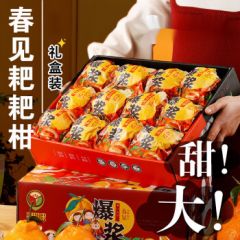 四川春见爆浆耙耙柑当季整箱新鲜水果孕妇水果现发礼盒装 9斤精选礼盒装