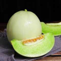 山东玉菇冰淇淋甜瓜 净重4.5-5斤 单果600g起 新鲜水果源头直发