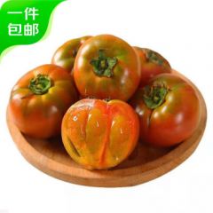 山东铁皮草莓西红柿 净重4.5斤 单果50-150g水果番茄源头直发