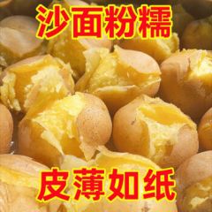 新鲜黄心土豆农家自种黄皮马铃薯黄心洋芋新鲜蔬菜 3斤